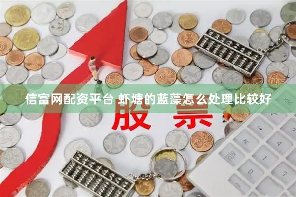 信富网配资平台 虾塘的蓝藻怎么处理比较好