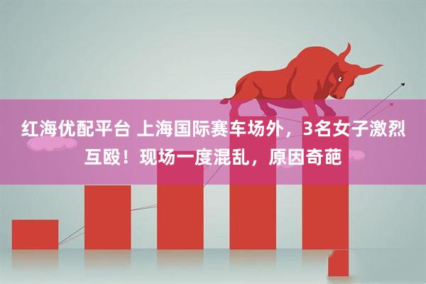 红海优配平台 上海国际赛车场外，3名女子激烈互殴！现场一度混乱，原因奇葩