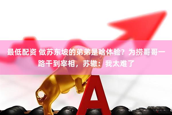 最低配资 做苏东坡的弟弟是啥体验？为捞哥哥一路干到宰相，苏辙：我太难了